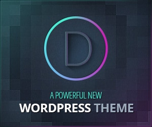 Divi Theme